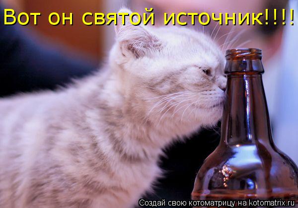 Вот он святой источник!!!!!... Котоматрица: Вот он святой источник!!!!!