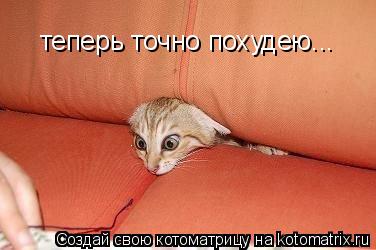 Котоматрица: теперь точно похудею...