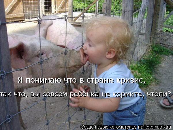 Котоматрица: Я понимаю что в стране кризис,  так что, вы совсем ребёнка не кормите, чтоли?