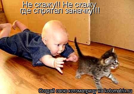 Не скажу!! Не скажу где спрятал заначку!!!... Котоматрица: Не скажу!! Не скажу где спрятал заначку!!!