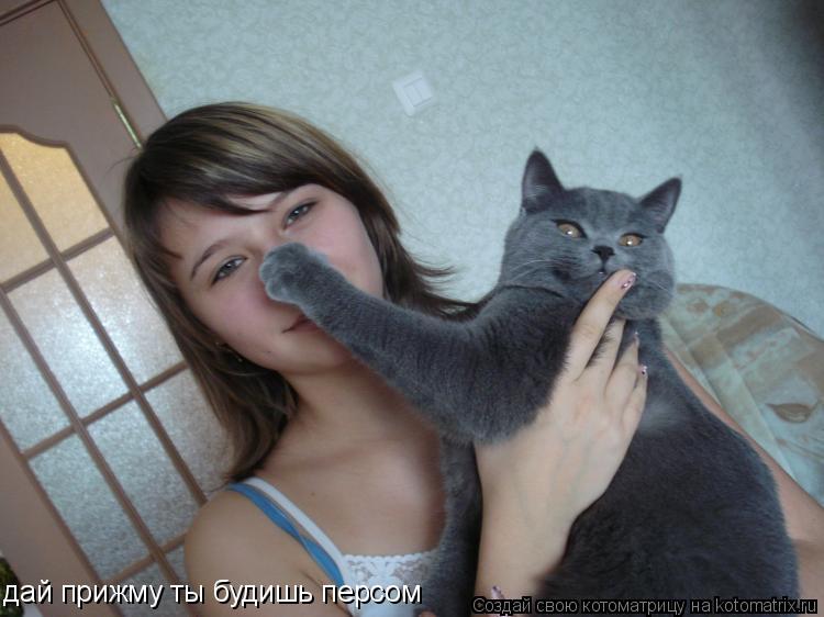 Котоматрица: дай прижму ты будишь персом