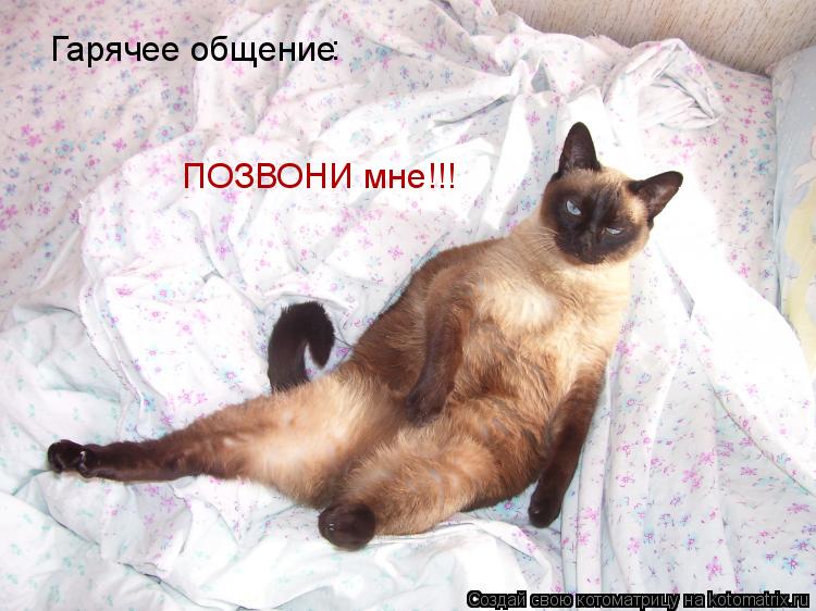 Котоматрица: Гарячее общение : ПОЗВОНИ мне!!!