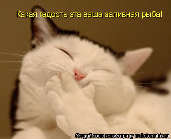 Котоматрица: Какая гадость эта ваша заливная рыба!