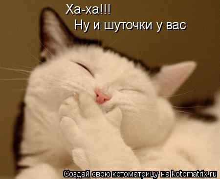 Ха-ха!!! Ну и шуточки у вас... Котоматрица: Ха-ха!!! Ну и шуточки у вас