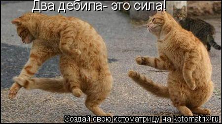 Котоматрица: Два дебила- это сила!