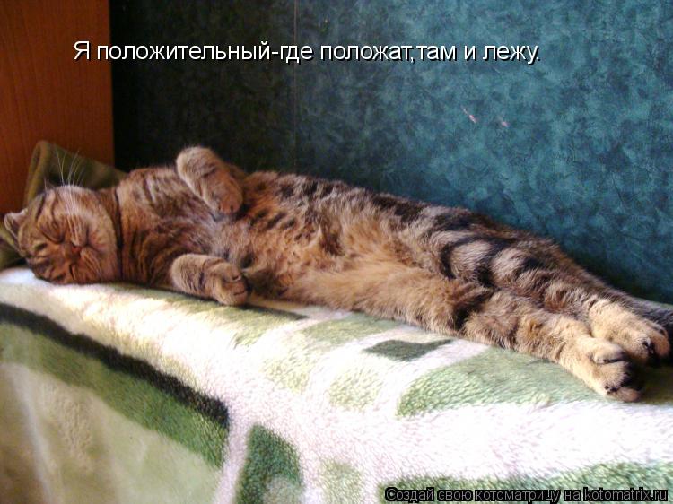 Я положительный-где положат,там и лежу.... Котоматрица: Я положительный-где положат,там и лежу.
