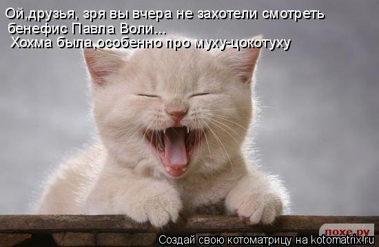 Ой,друзья, зря вы вчера не захотели смотреть бенефис Павла Воли... Хохма была,особенно про муху-цокот... Котоматрица: Ой,друзья, зря вы вчера не захотели смотреть бенефис Павла Воли... Хохма была,особенно про муху-цокотуху