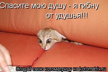 Котоматрица: Спасите мою душу - я гибну  от удушья!!!