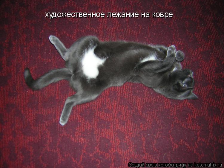 Котоматрица: художественное лежание на ковре