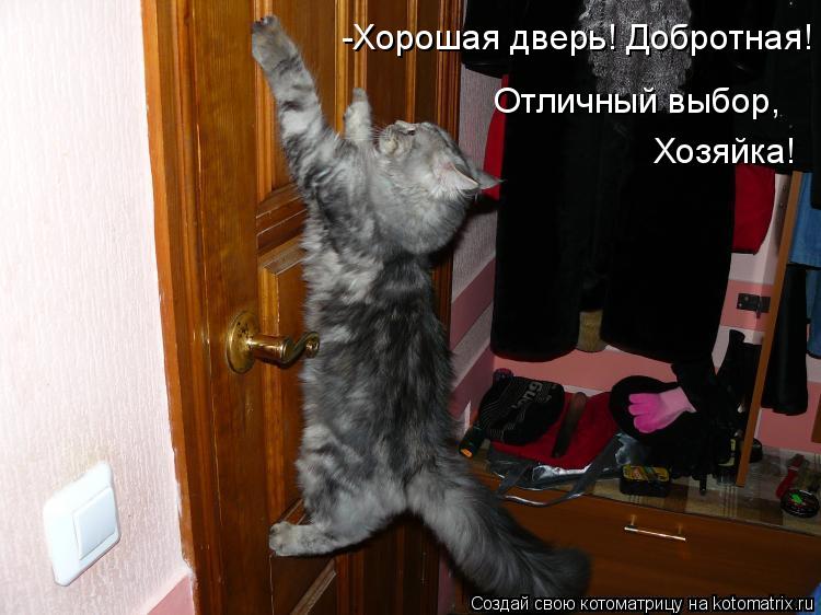 Котоматрица: -Хорошая дверь! Добротная! Отличный выбор, Хозяйка!