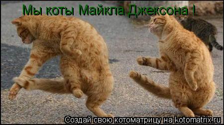 Мы коты Майкла Джексона !... Котоматрица: Мы коты Майкла Джексона !