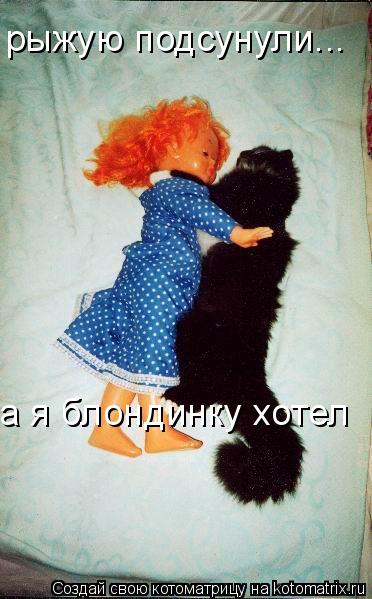 рыжую подсунули... а я блондинку хотел... Котоматрица: рыжую подсунули... а я блондинку хотел
