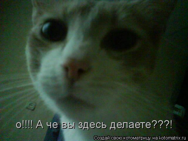 Котоматрица: о!!!! А че вы здесь делаете???!