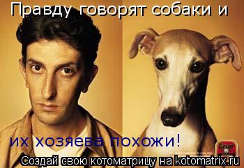 Котоматрица: Правду говорят собаки и  их хозяева похожи!