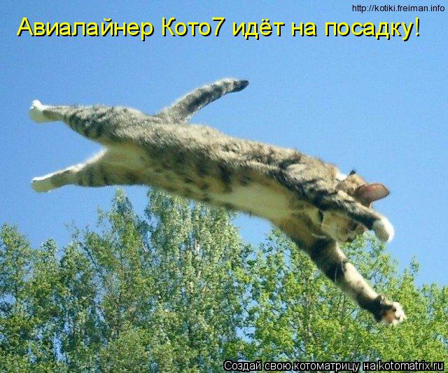 Авиалайнер Кото7 идёт на посадку!... Котоматрица: Авиалайнер Кото7 идёт на посадку!