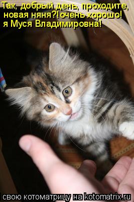 Котоматрица: Так, добрый день, проходите, новая няня?!очень хорошо! я Муся Владимировна!