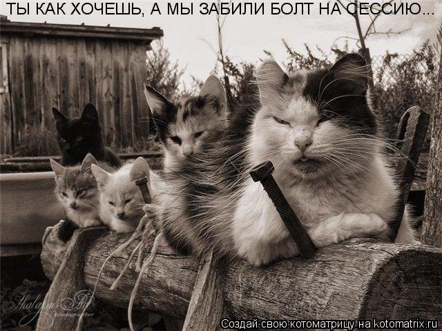 ТЫ КАК ХОЧЕШЬ, А МЫ ЗАБИЛИ БОЛТ НА СЕССИЮ...... Котоматрица: ТЫ КАК ХОЧЕШЬ, А МЫ ЗАБИЛИ БОЛТ НА СЕССИЮ...