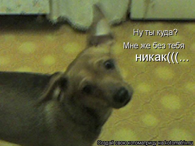 Ну ты куда? Мне же без тебя никак(((...... Котоматрица: Ну ты куда? Мне же без тебя никак(((...