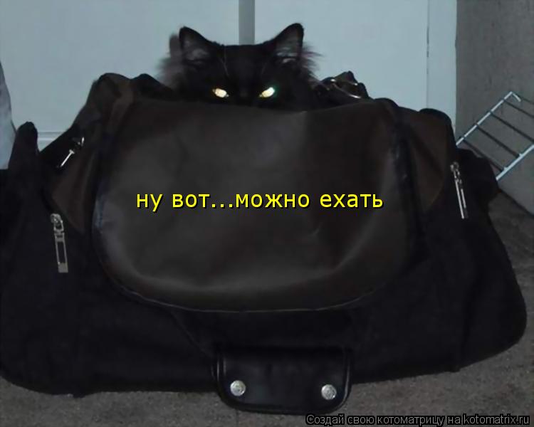 ну вот...можно ехать ну вот...можно ехать... Котоматрица: ну вот...можно ехать ну вот...можно ехать