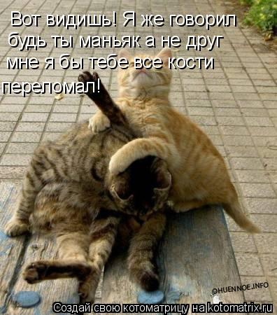 Котоматрица: Вот видишь! Я же говорил будь ты маньяк а не друг мне я бы тебе все кости переломал!