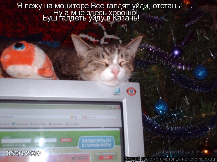 Котоматрица: Я лежу на мониторе Все галдят уйди, отстань! Ну а мне здесь хорошо! Буш галдеть уйду в Казань!