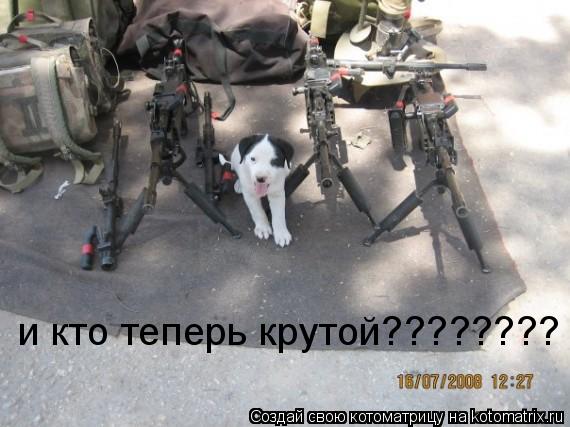 и кто теперь крутой????????... Котоматрица: и кто теперь крутой????????