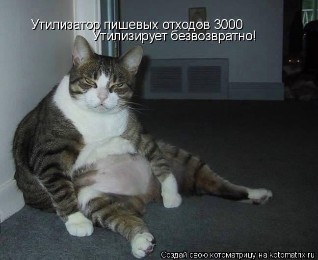 Утилизатор пишевых отходов 3000 Утилизирует безвозвратно!... Котоматрица: Утилизатор пишевых отходов 3000 Утилизирует безвозвратно!