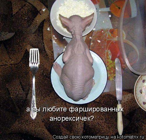 Котоматрица: а вы любите фаршированных  анорексичек?