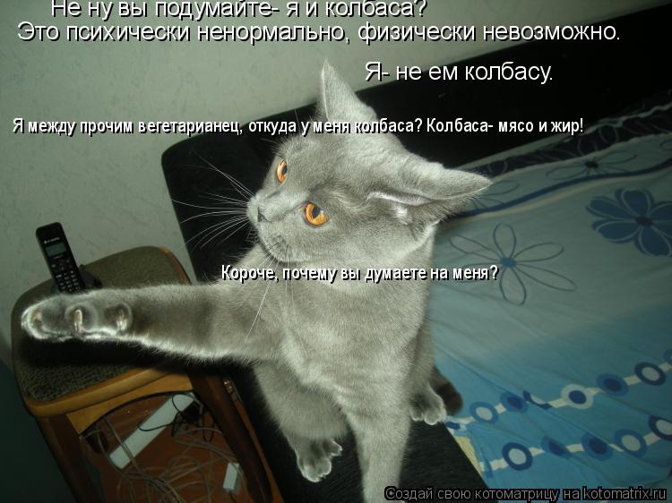 Не ну вы подумайте- я и колбаса? Это психически ненормально, физически невозможно. Я- не ем колбасу. ... Котоматрица: Не ну вы подумайте- я и колбаса? Это психически ненормально, физически невозможно. Я- не ем колбасу. Я между прочим вегетарианец, откуда у мен