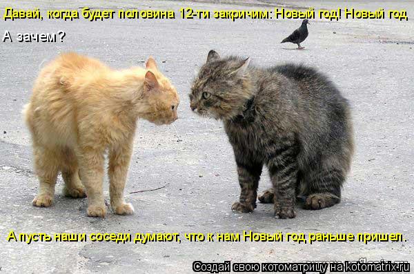 Давай, когда будет половина 12-ти закричим: Новый год! Новый год А зачем? А пусть наши соседи думают,... Котоматрица: Давай, когда будет половина 12-ти закричим: Новый год! Новый год А зачем? А пусть наши соседи думают, что к нам Новый год раньше пришел.