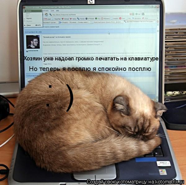 Котоматрица: Хозяин уже надоел громко печатать на клавиатуре Но теперь я посплю я спокойно посплю  . . )