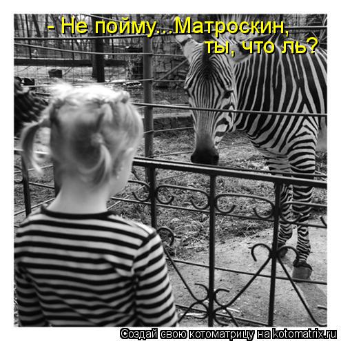- Не пойму...Матроскин, ты, что ль?... Котоматрица: - Не пойму...Матроскин, ты, что ль?