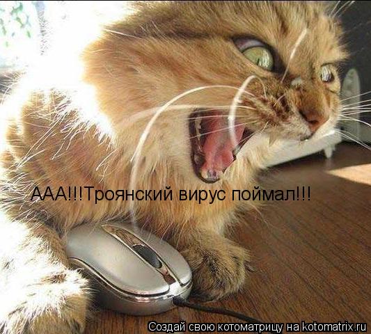 Котоматрица: ААА!!!Троянский вирус поймал!!!