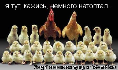 я тут, кажись, немного натоптал...... Котоматрица: я тут, кажись, немного натоптал...