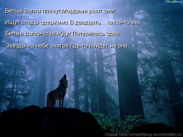 Белые Волки плачут,Мордами роют снег. Ищут следы одержимо.В двадцать... какой-то век Белые Волки-ста... Котоматрица: Белые Волки плачут,Мордами роют снег. Ищут следы одержимо.В двадцать... какой-то век Белые Волки-стая.Ждут.Потерялась одна. Звёзды на небе сч