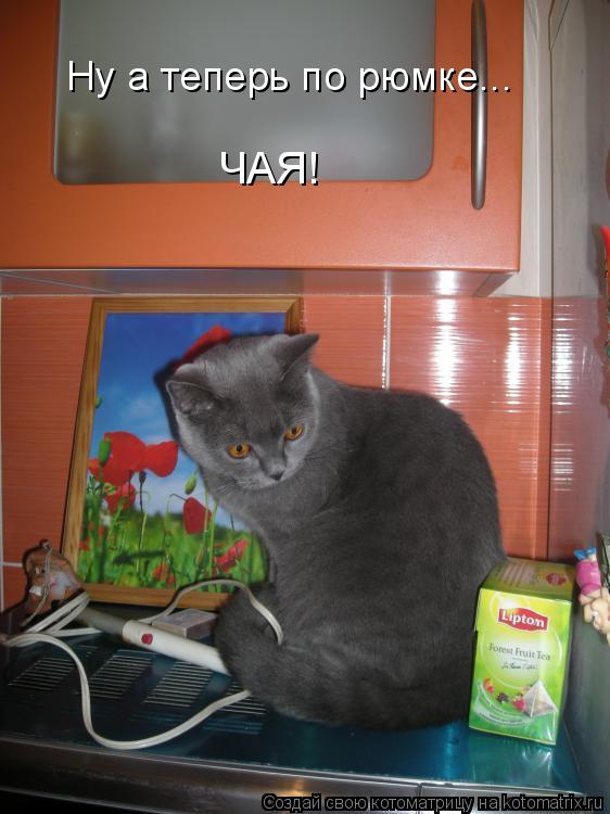 Ну а теперь по рюмке... ЧАЯ!... Котоматрица: Ну а теперь по рюмке... ЧАЯ!
