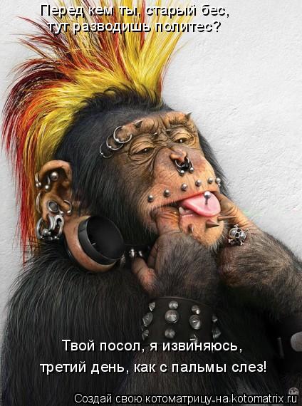 Котоматрица: Перед кем ты, старый бес, тут разводишь политес? Твой посол, я извиняюсь, третий день, как с пальмы слез!