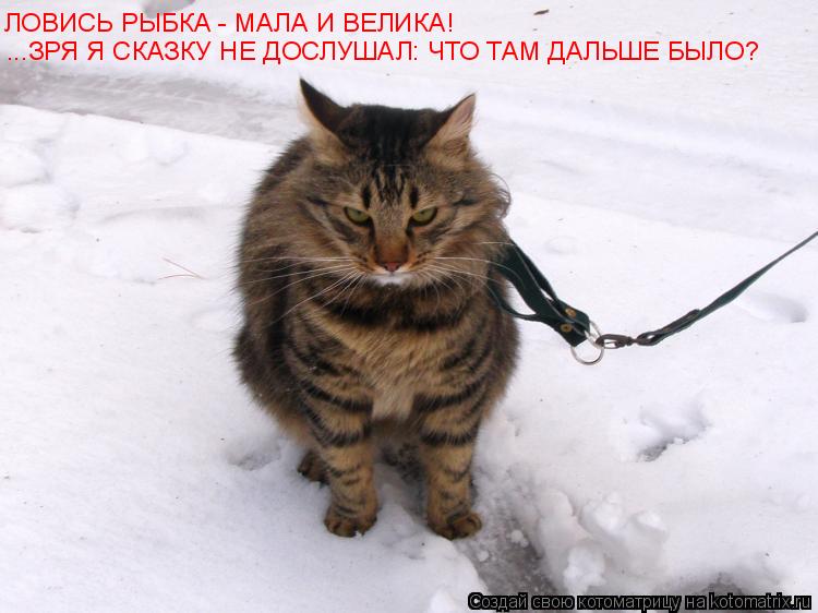ЛОВИСЬ РЫБКА - МАЛА И ВЕЛИКА! ...ЗРЯ Я СКАЗКУ НЕ ДОСЛУШАЛ: ЧТО ТАМ ДАЛЬШЕ БЫЛО?... Котоматрица: ЛОВИСЬ РЫБКА - МАЛА И ВЕЛИКА! ...ЗРЯ Я СКАЗКУ НЕ ДОСЛУШАЛ: ЧТО ТАМ ДАЛЬШЕ БЫЛО?