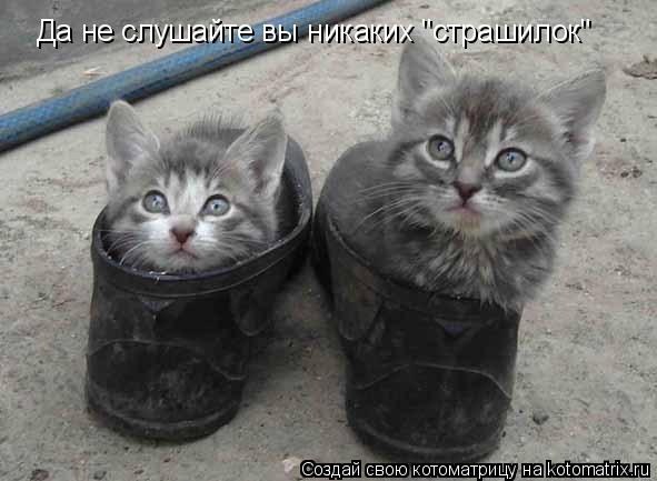 Да не слушайте вы никаких "страшилок"... Котоматрица: Да не слушайте вы никаких "страшилок"