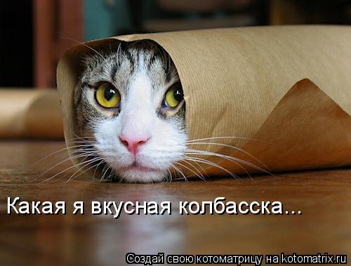 Котоматрица: Какая я вкусная колбасска...