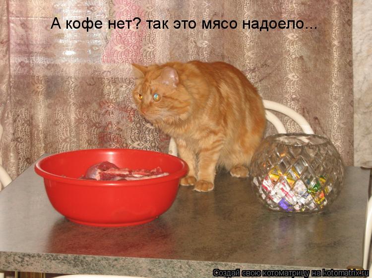 Котоматрица: А кофе нет? так это мясо надоело...