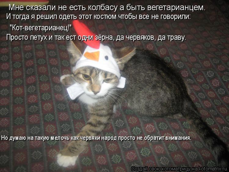 Мне сказали не есть колбасу а быть вегетарианцем. И тогда я решил одеть этот костюм чтобы все не гово... Котоматрица: Мне сказали не есть колбасу а быть вегетарианцем. И тогда я решил одеть этот костюм чтобы все не говорили: "Кот-вегетарианец!" Просто петух и