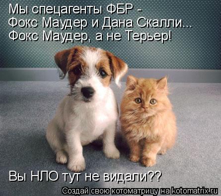 Котоматрица: Мы спецагенты ФБР -  Фокс Маудер и Дана Скалли... Фокс Маудер, а не Терьер! Вы НЛО тут не видали??