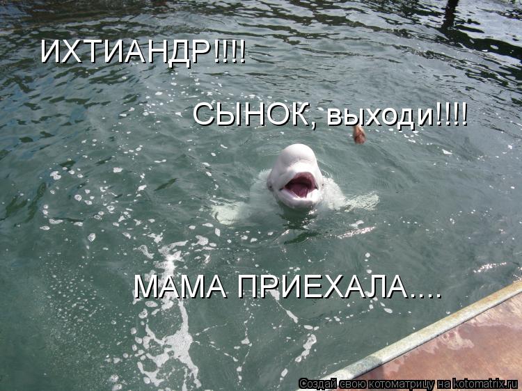 ИХТИАНДР!!!! СЫНОК, выходи!!!! МАМА ПРИЕХАЛА....... Котоматрица: ИХТИАНДР!!!! СЫНОК, выходи!!!! МАМА ПРИЕХАЛА....