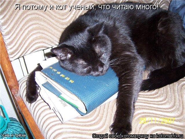Я потому и кот ученый, что читаю много!... Котоматрица: Я потому и кот ученый, что читаю много!