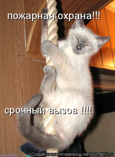 пожарная охрана!!! срочный вызов !!!!... Котоматрица: пожарная охрана!!! срочный вызов !!!!