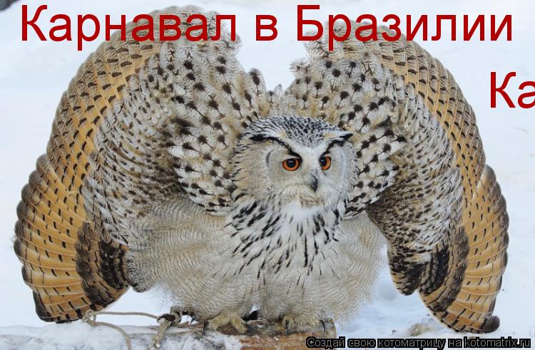 Котоматрица: Карнавал в Бразилии Карнавал в Бразилии