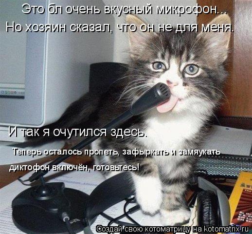 Это бл очень вкусный микрофон... Но хозяин сказал, что он не для меня. И так я очутился здесь. Теперь... Котоматрица: Это бл очень вкусный микрофон... Но хозяин сказал, что он не для меня. И так я очутился здесь. Теперь осталось пропеть, зафыркать и замяукать д