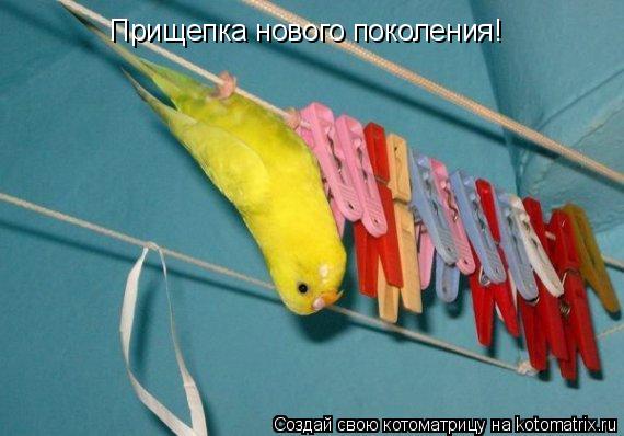 Котоматрица: Прищепка нового поколения!