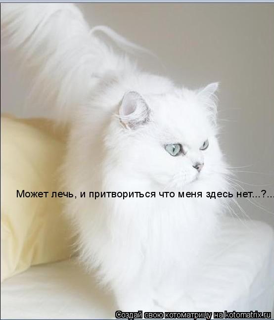 Может лечь, и притвориться что меня здесь нет...?...... Котоматрица: Может лечь, и притвориться что меня здесь нет...?...